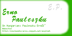 erno pauleszku business card